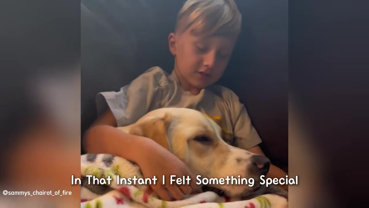 A young boy sits on a couch, gently holding a sleeping light-colored dog wrapped in a blanket.