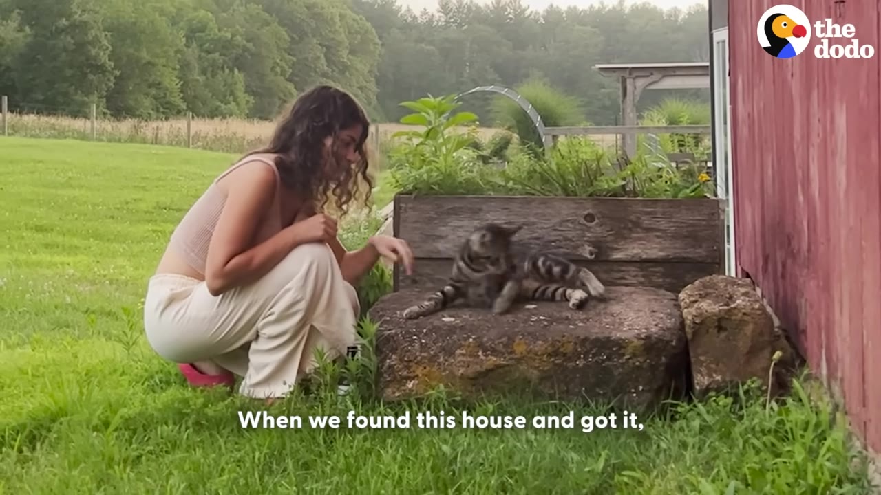A woman in light-colored pants and a tank top crouches on a grassy lawn next to a tabby cat resting on a stone step outside a red barn.