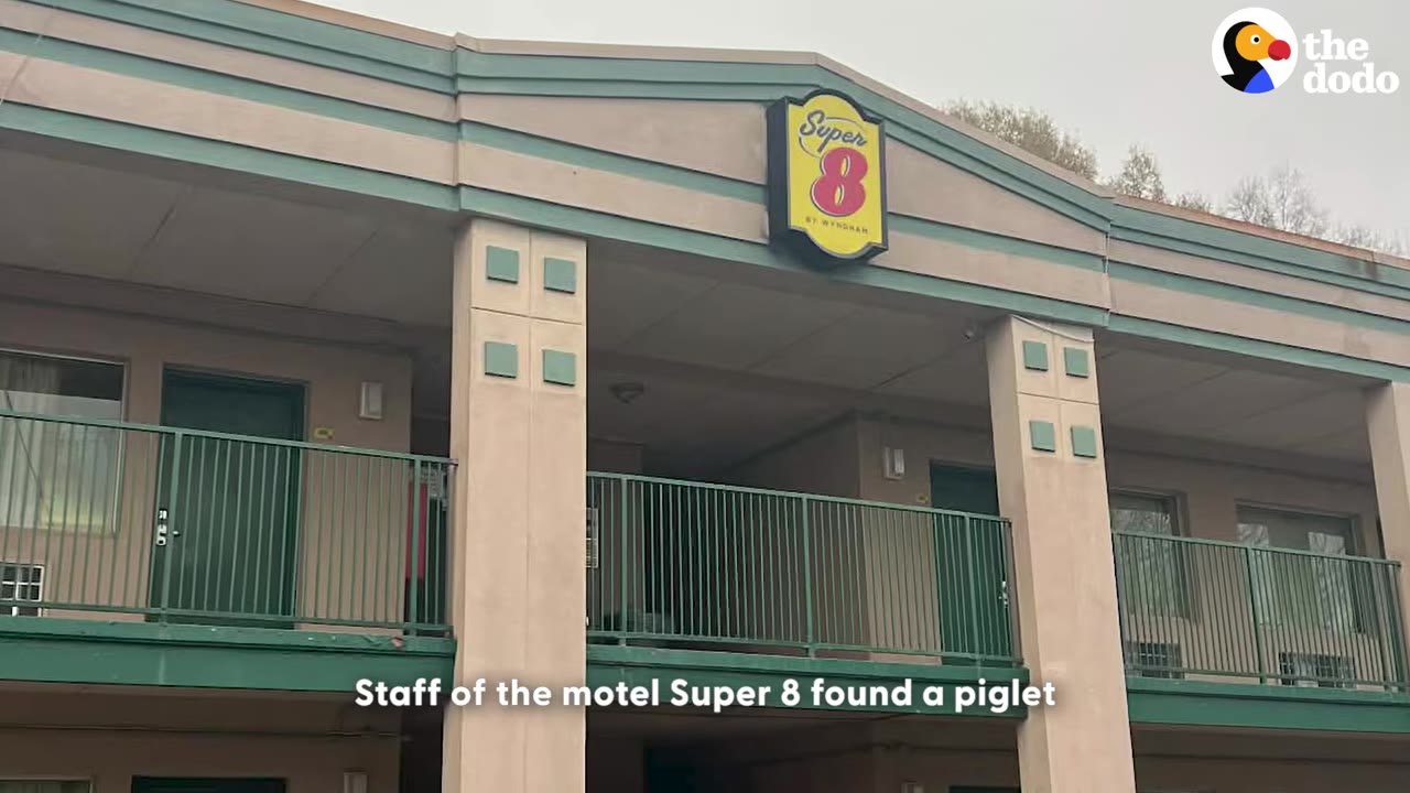 The exterior of a two-story Super 8 motel building showing the second-floor balcony and the motel's logo sign.