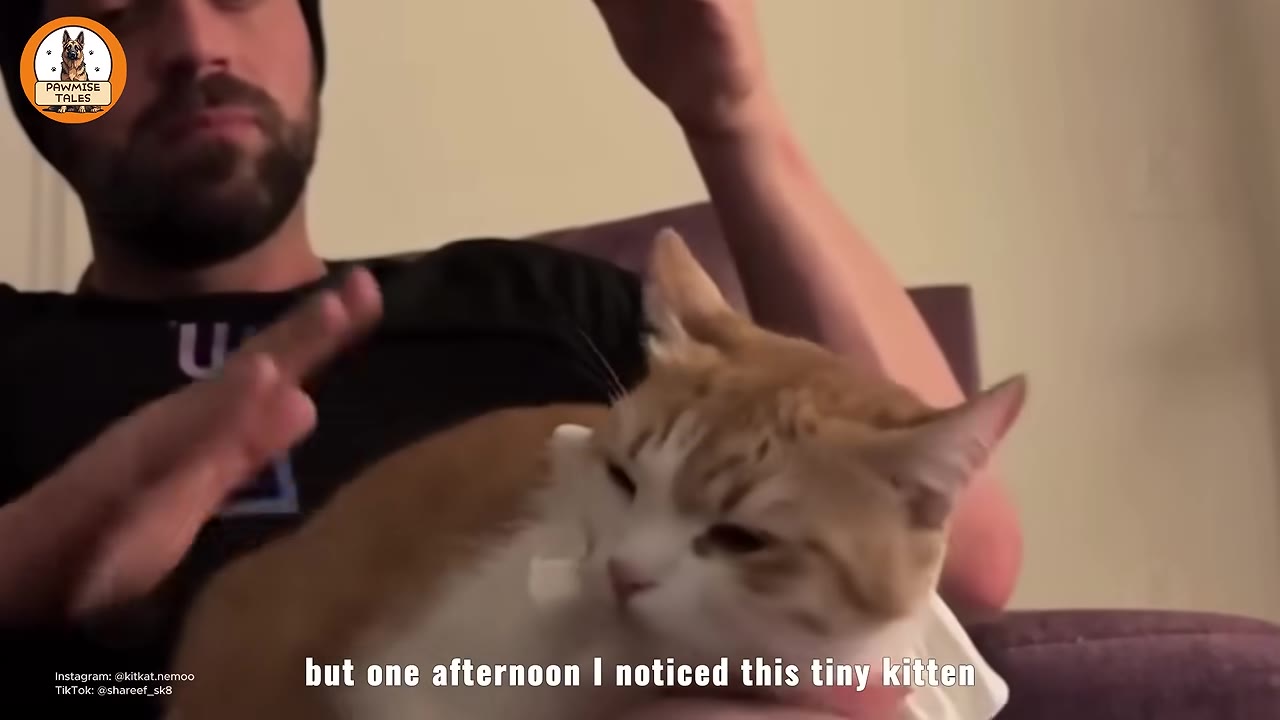 A young man with a beard and a black beanie holds a small orange and white cat on his lap.