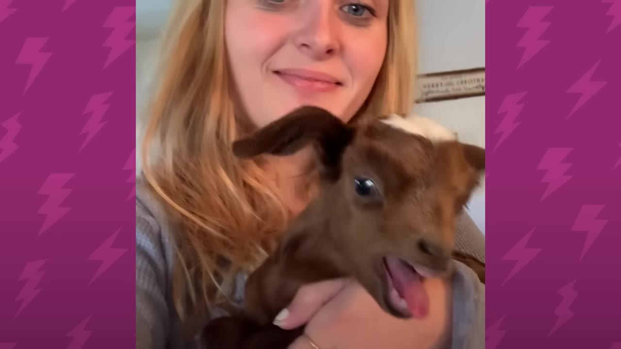 A smiling woman holding a tiny brown baby goat with a white patch on its head as it bleats with its mouth open.