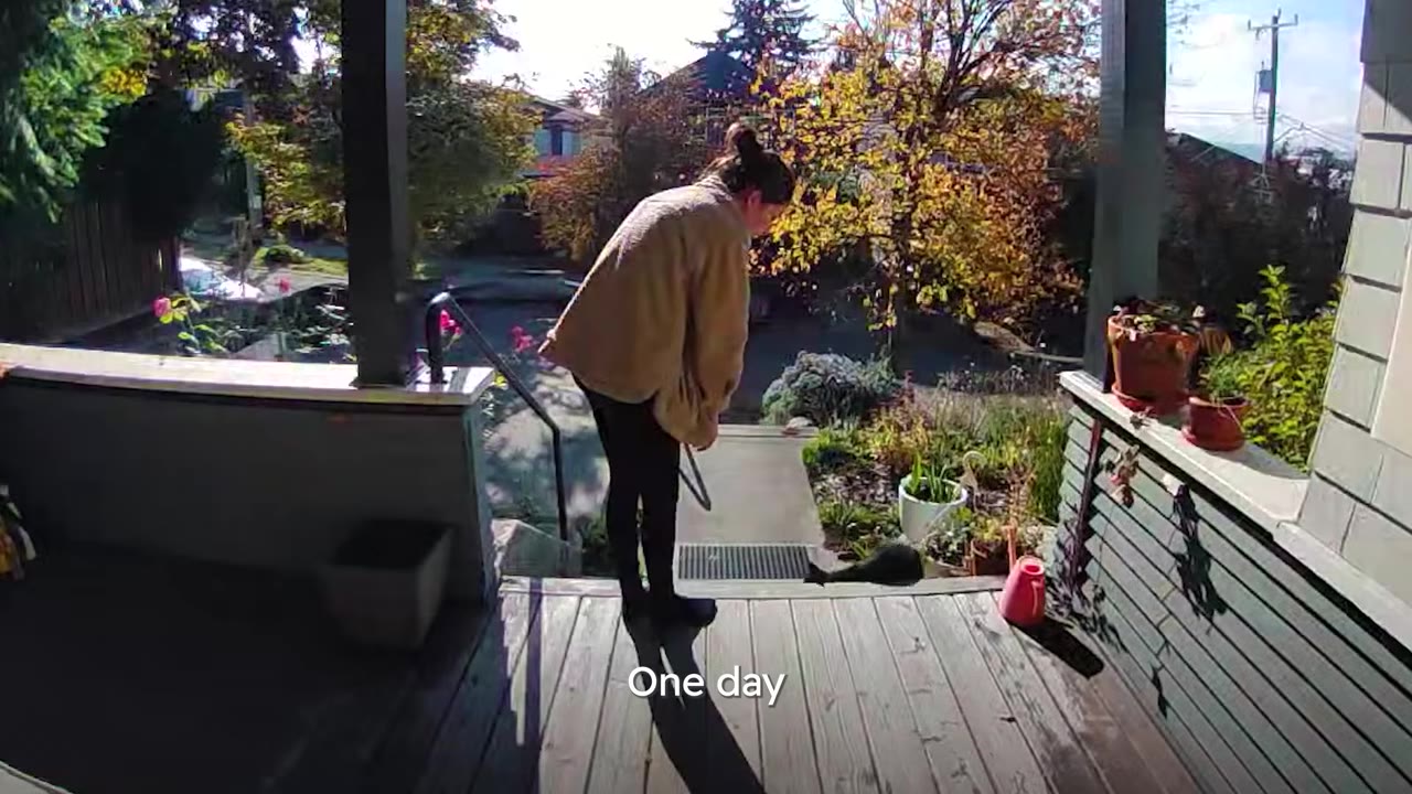 A woman stands on a wooden porch, looking down at a black cat sitting on the steps.