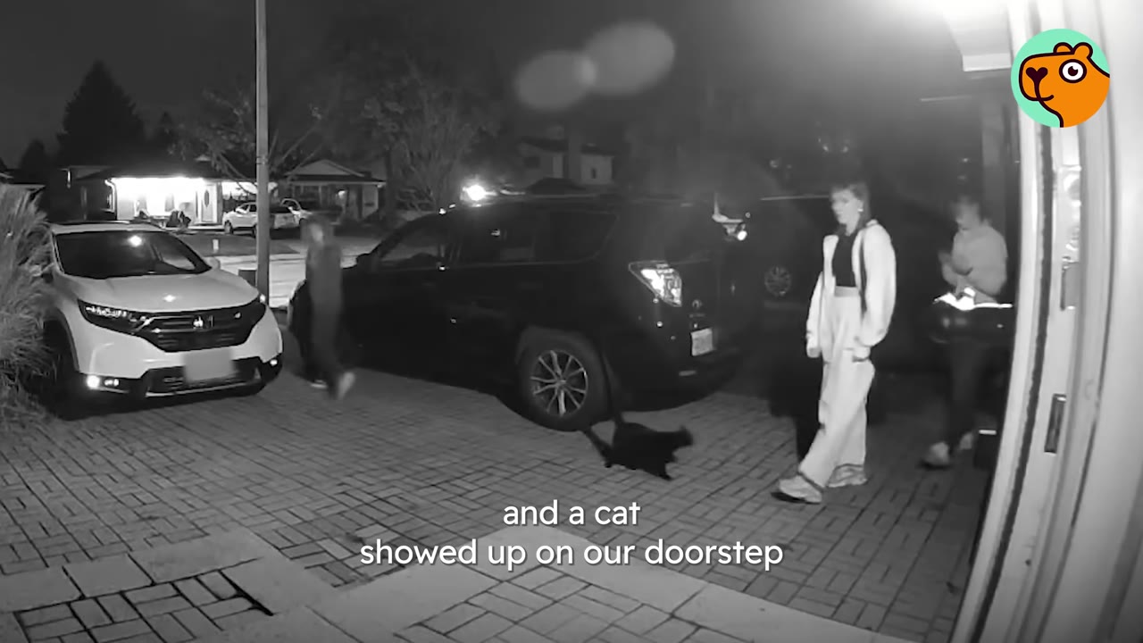 A black-and-white security camera view of a driveway at night, showing a couple walking near parked cars as a black cat walks across the pavement.