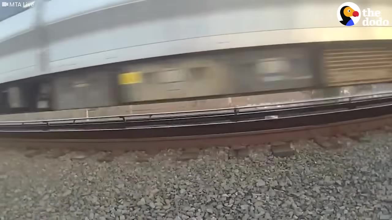 A train passing by on tracks with gravel in the foreground.