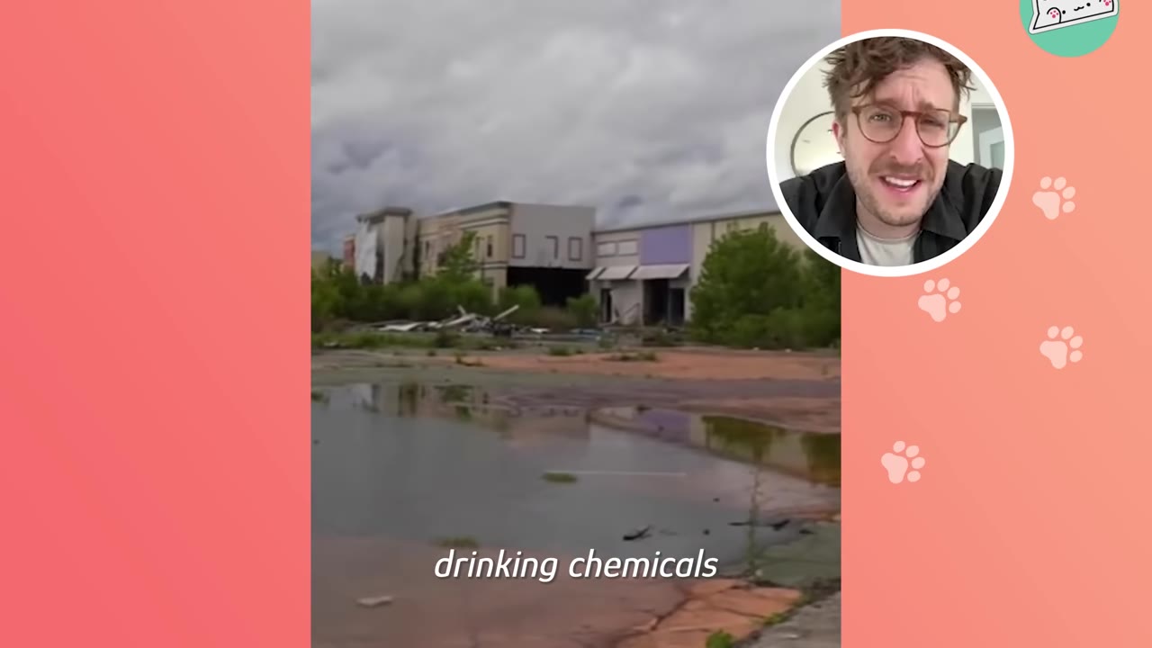 An abandoned, desolate commercial area with puddles of water under a cloudy sky, with a circular inset of a man speaking.