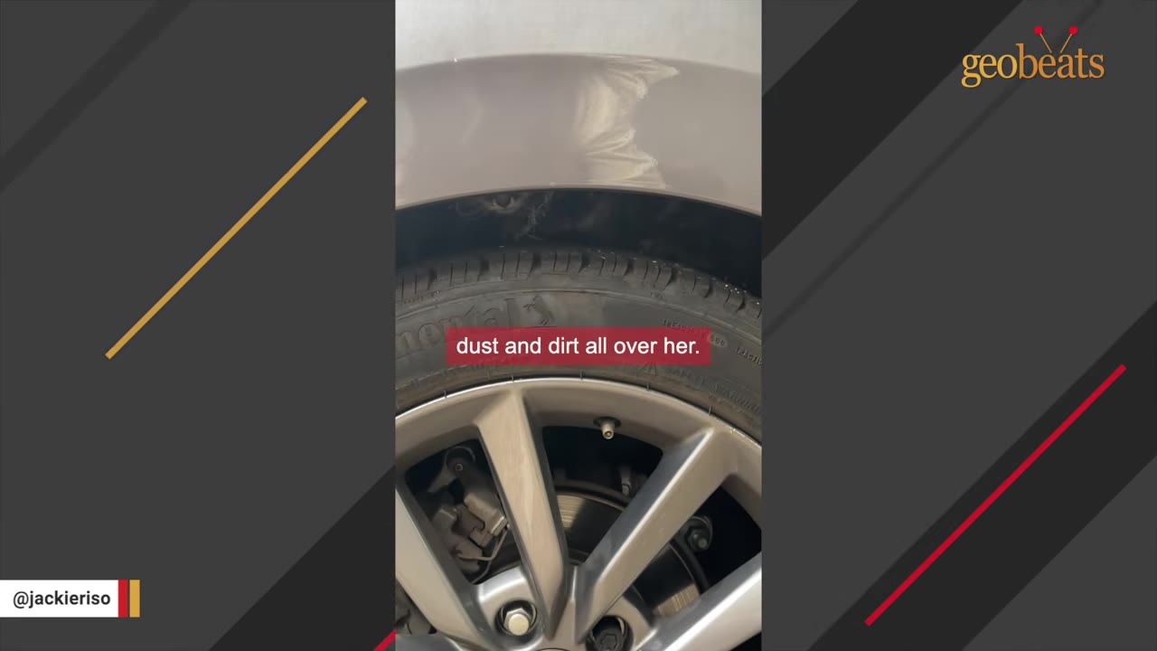 A close-up of a car tire with a tiny kitten peeking out from the dark space above the tire in the wheel well.