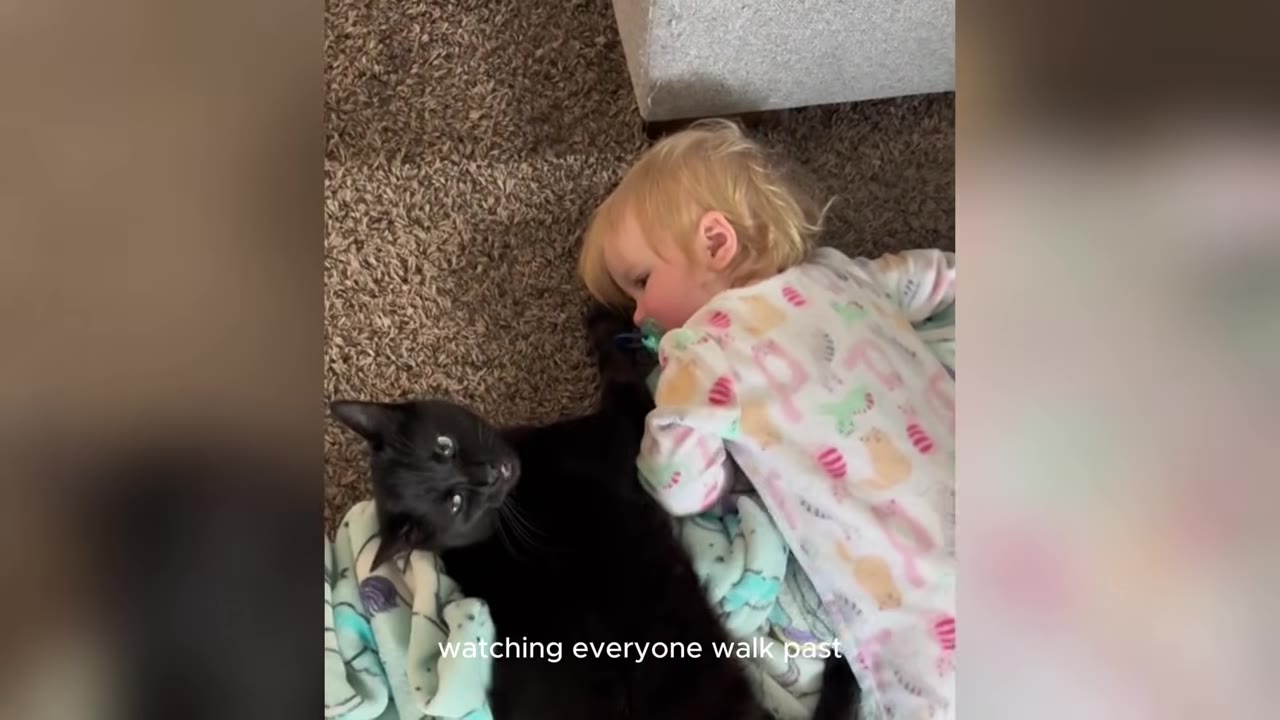 A black cat lies on a blanket on the carpet next to a toddler in pajamas, looking up with wide eyes under the text 'watching everyone walk past'.