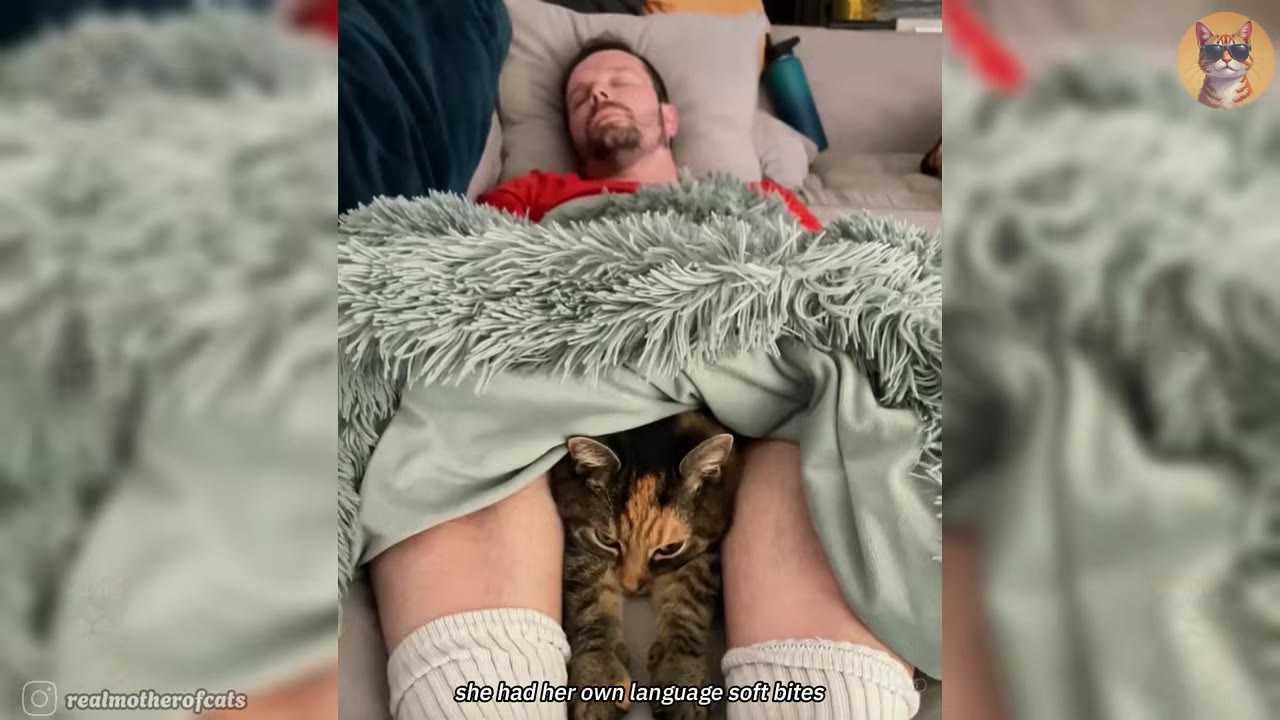 A calico cat lies between the legs of a sleeping man under a green textured blanket, with text on screen reading 'she had her own language soft bites'.