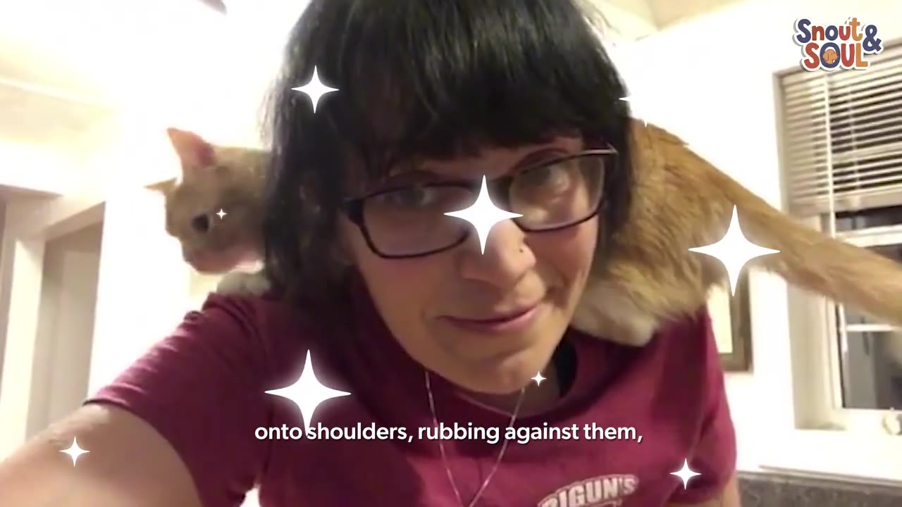 An orange cat named Smush perched on the shoulders of a woman wearing glasses and a maroon t-shirt.
