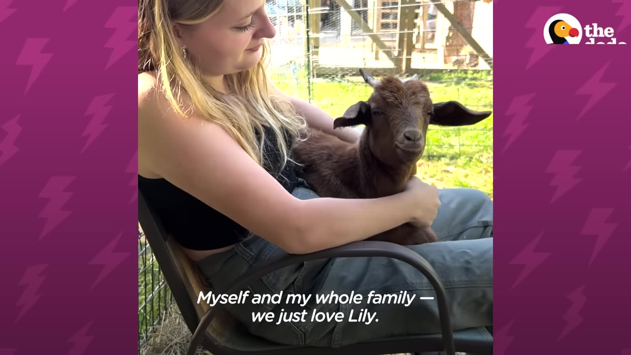 A young woman sitting in an outdoor chair, smiling gently as she cradles a small brown goat in her lap.