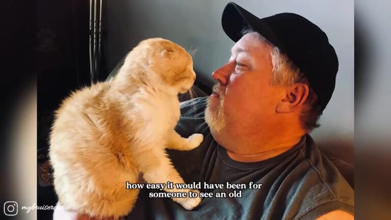 Pennsylvania Man Brings Home A Trembling One-Eyed Cat, Then Gets Devastating News From The Vet