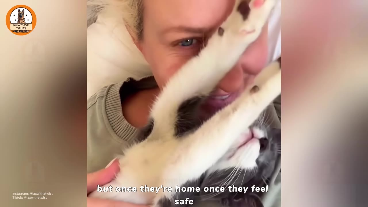 A close-up of a smiling woman cuddling a grey and white cat who is lying on its back with its paws stretched up towards her face.