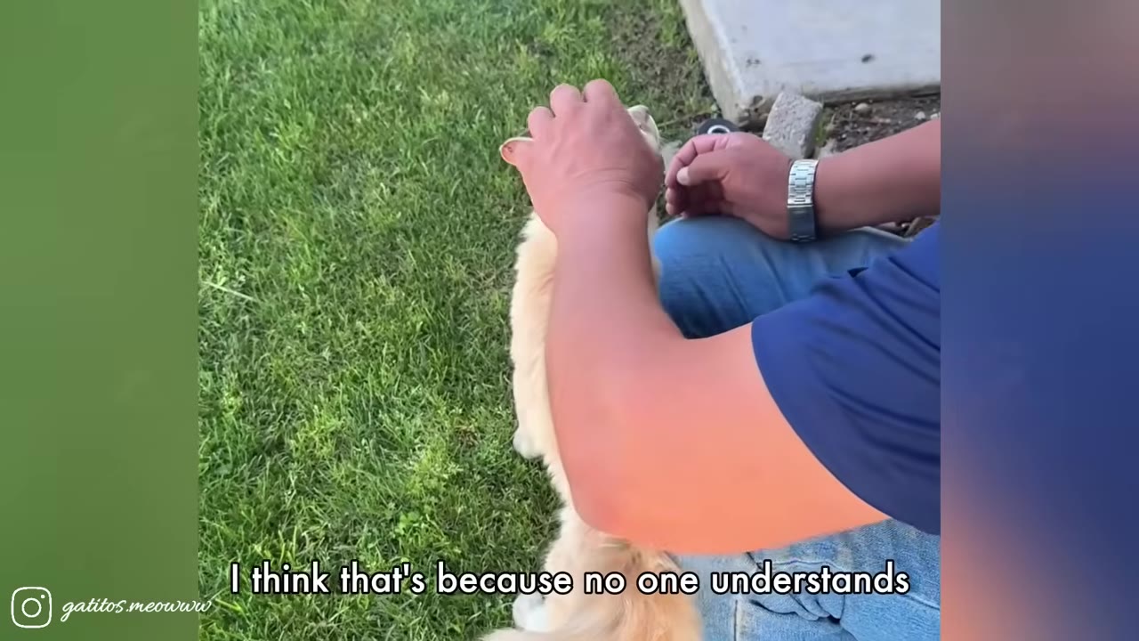 A person sitting on a green lawn gently pets a light orange cat on the head.