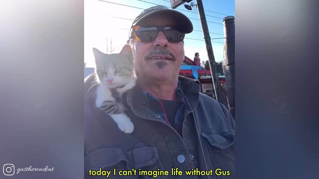 A man wearing sunglasses and a cap smiles with a small tabby and white kitten perched on his shoulder.