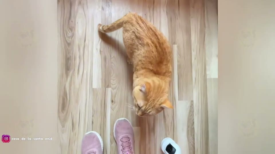 Video frame for A Call For Help
