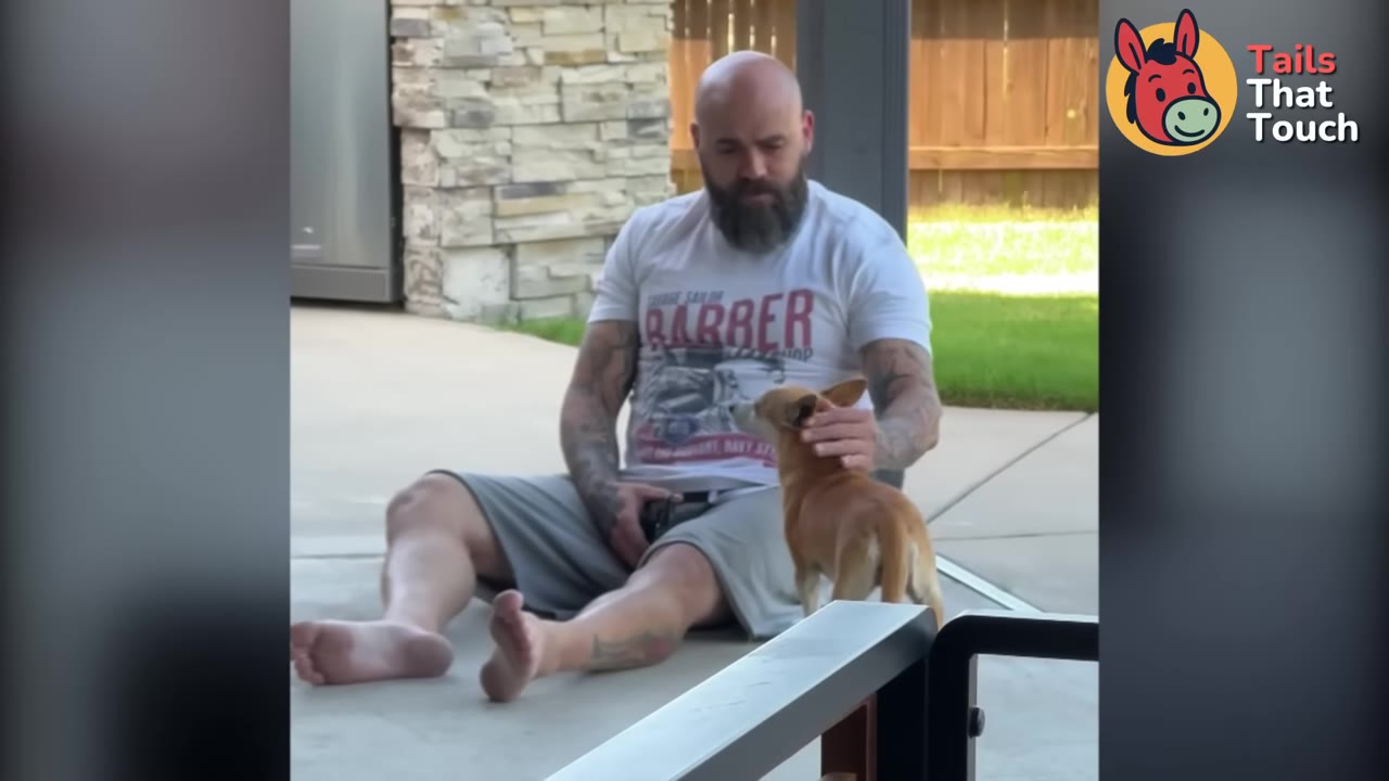 A bearded man sitting on a concrete patio gently scratches the head of a small brown dog standing in front of him.
