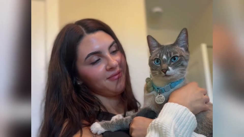 Video frame for A Heartbreaking Discovery