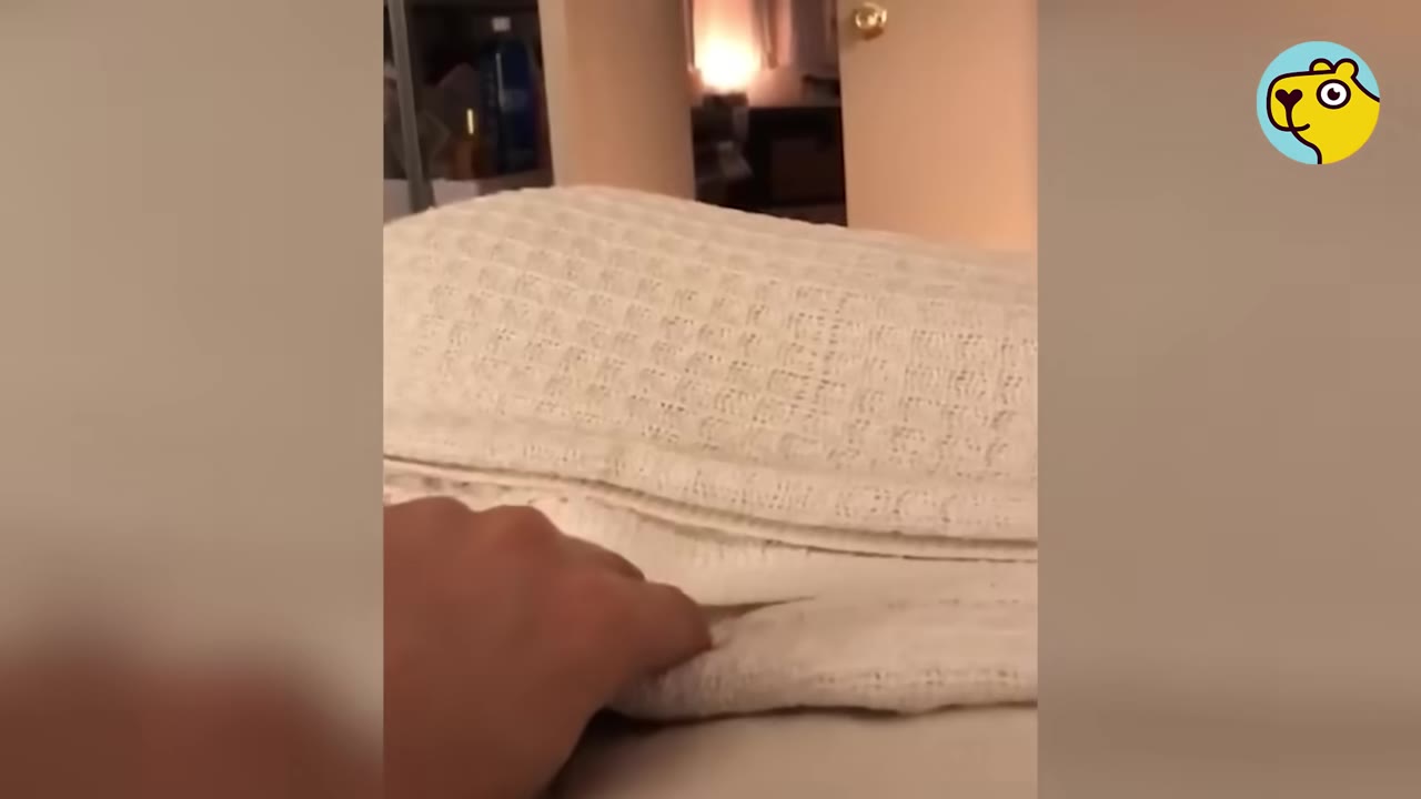 A close-up shot of a hand reaching for a folded white blanket.