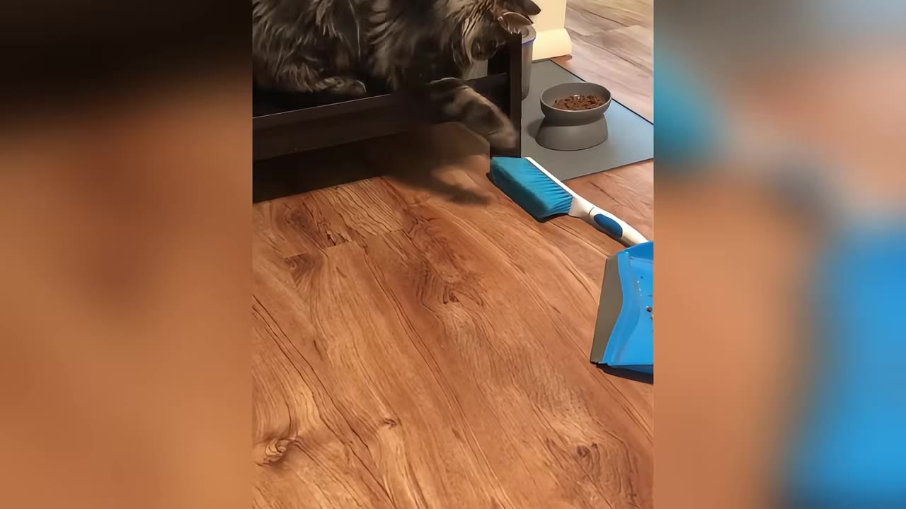 A long-haired cat reaches its paw out from underneath a dark wooden cabinet onto a light brown wood floor, near a blue hand broom and dustpan and a grey pet food bowl.
