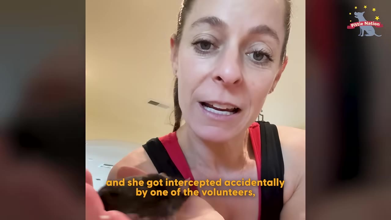 A woman looking directly at the camera while holding a tiny, dark-furred mouse in her hand.