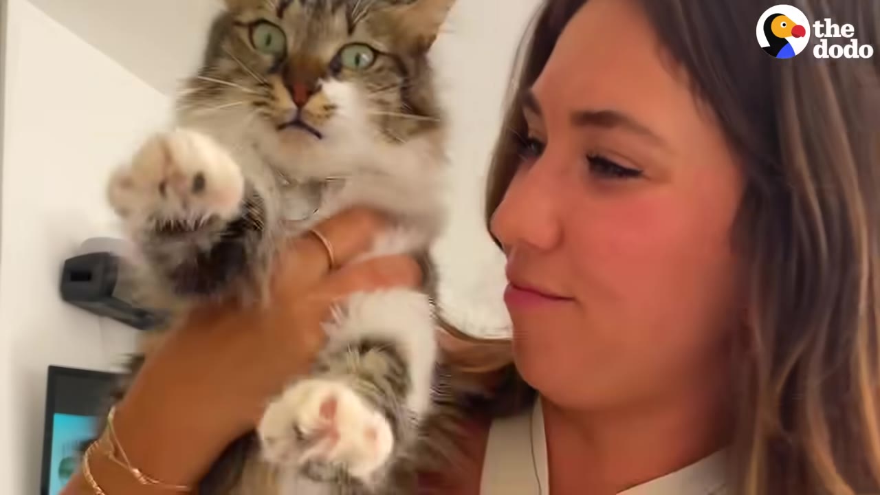 A woman with long brown hair holds up a fluffy brown and white tabby cat with wide green eyes.