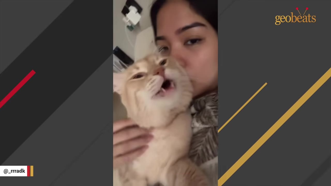 A close-up shot of a woman cuddling and kissing a light orange cat.