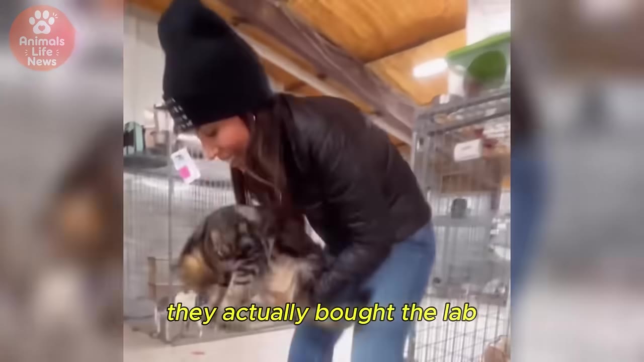 A woman wearing a black beanie and jacket smiles as she holds a cat inside a facility with metal cages in the background.