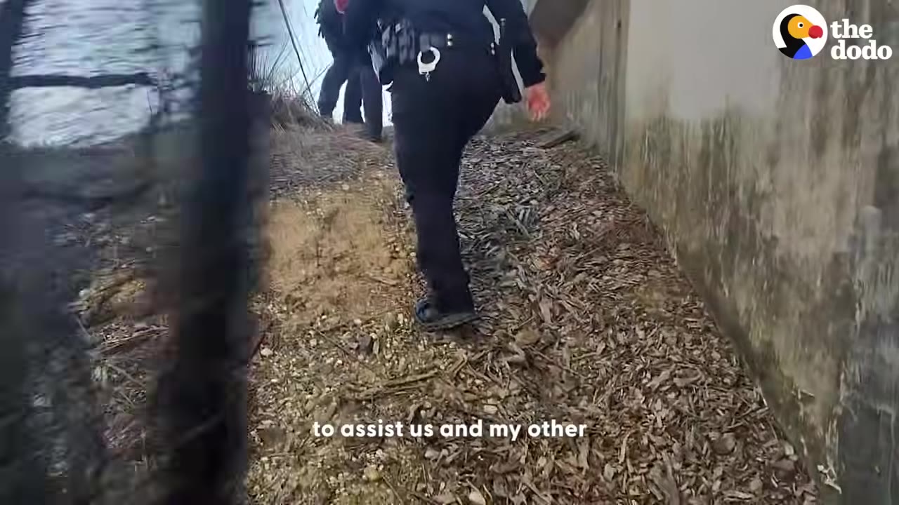 A view from behind of police officers walking up a dirt slope next to a concrete wall.