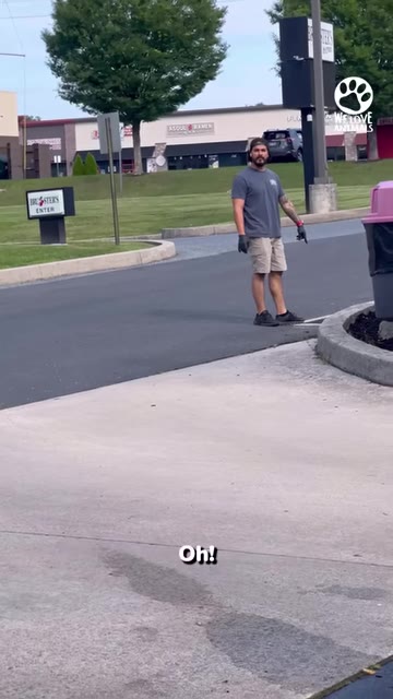 A man in a grey t-shirt and shorts stands in a parking lot, pointing down toward the ground near a curb.
