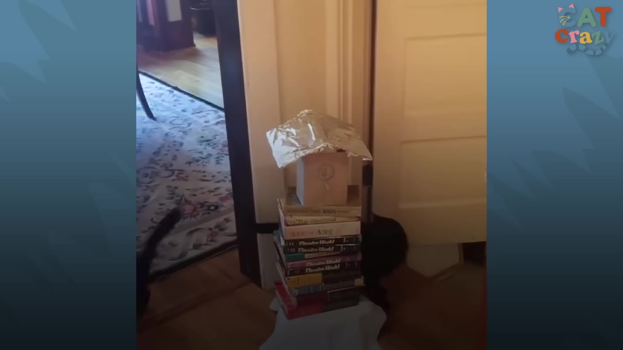 A stack of books topped with a foil-covered object sits in a doorway, with a black cat partially visible on either side.