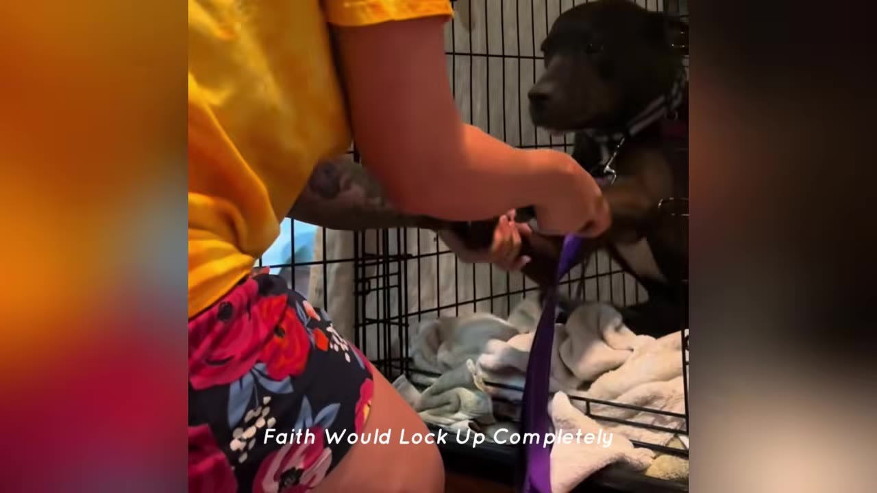 A woman in a yellow shirt reaches into a wire dog crate to attach a purple leash to a dark-colored dog who is sitting inside on blankets.