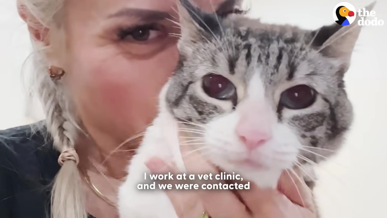 A close-up of a blonde woman holding a tabby and white cat close to her face, with a subtitle that reads 'I work at a vet clinic, and we were contacted'.