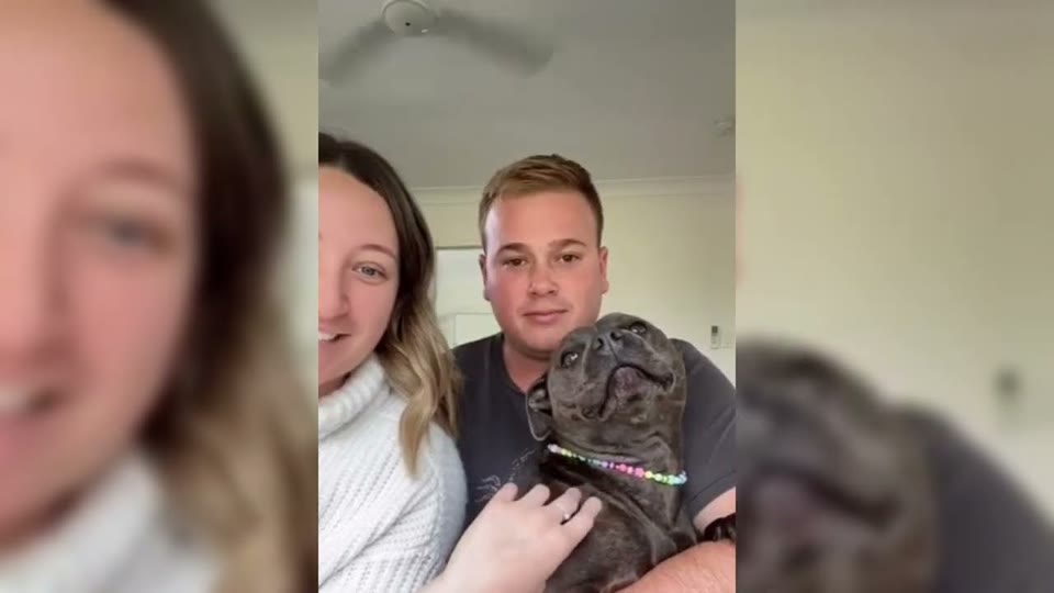 Video frame for Kennel Number 42