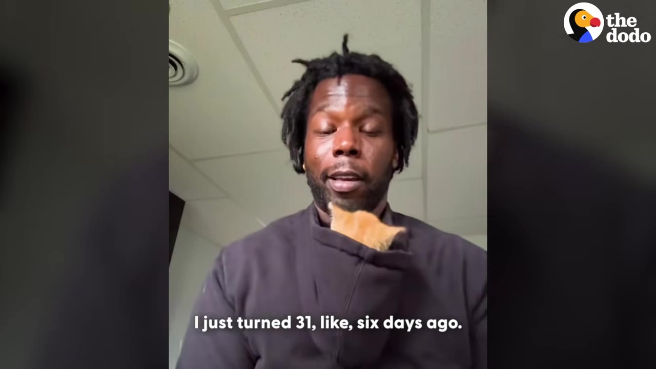 A man with dreadlocks looks down at a small orange kitten tucked into the collar of his black hoodie, with a subtitle reading 'I just turned 31, like, six days ago.'