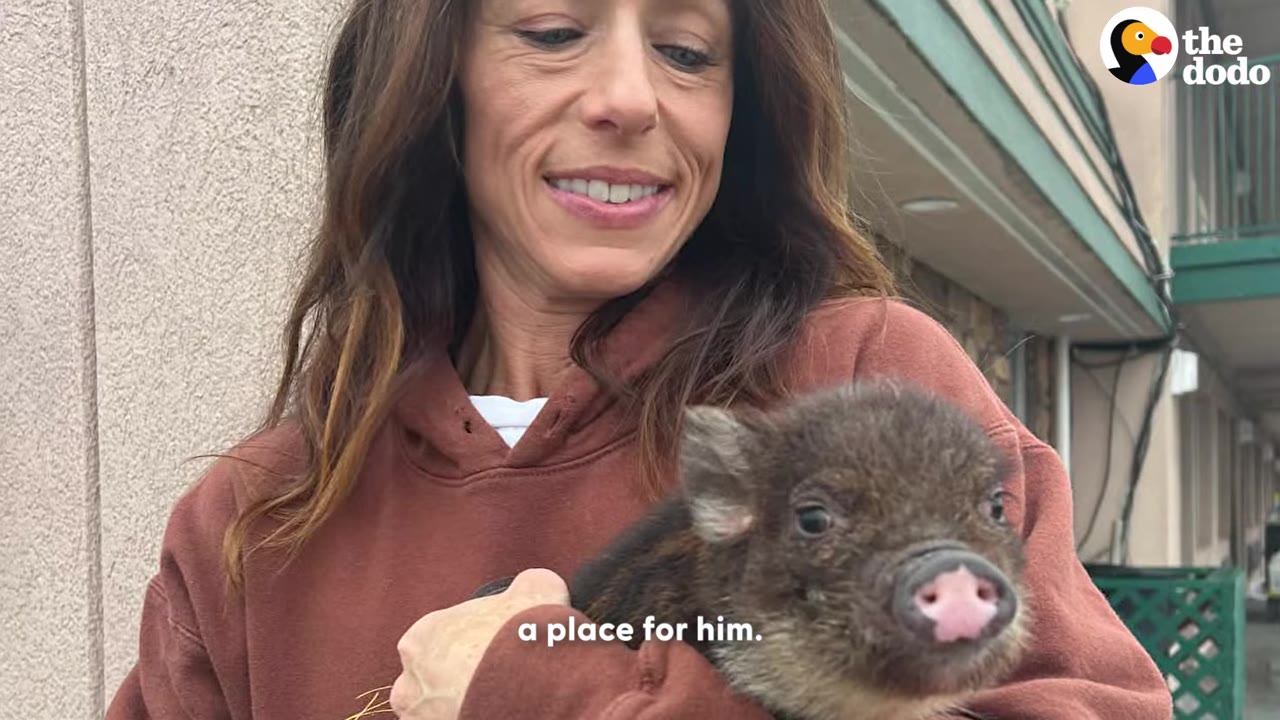 A smiling woman in a brown hoodie holds a tiny brown piglet close to her chest.