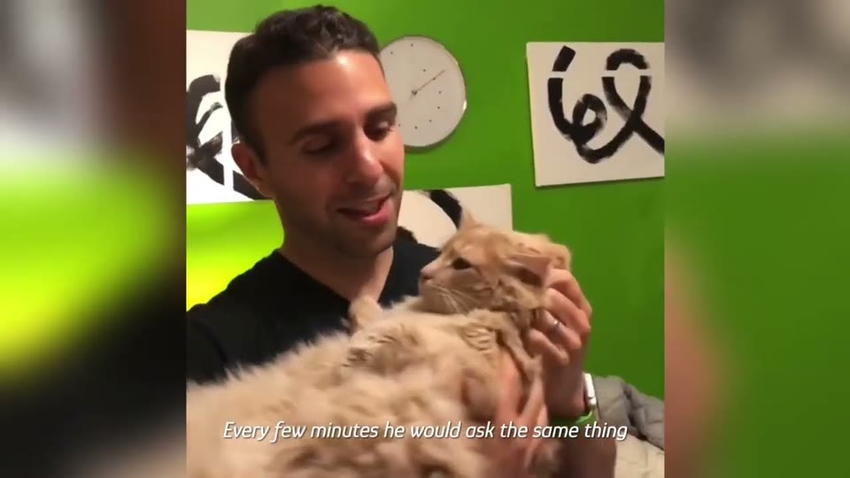 Video frame for Skipping The Stray Cat Lessons