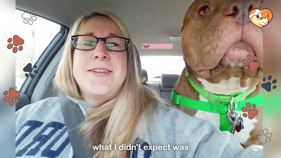 Video frame for The Dog With Soulful Eyes