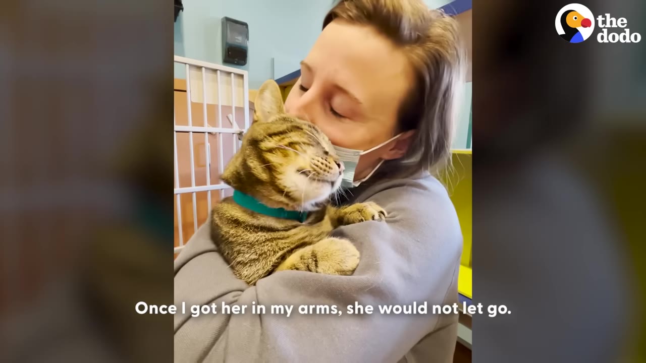 A woman wearing a face mask holds a tabby cat close to her face in a shelter, with the cat closing its eyes contentedly.