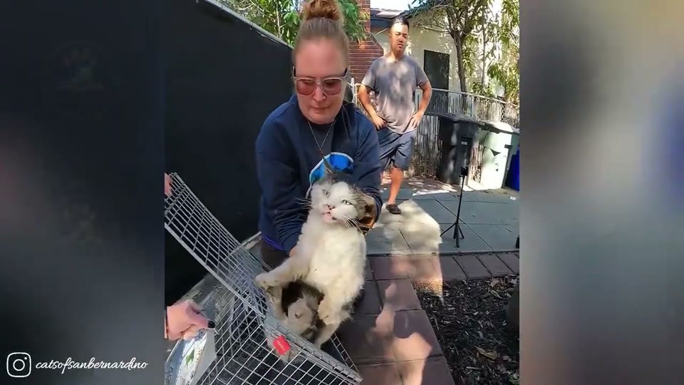 Video frame for The Instagram Post That Changed Everything