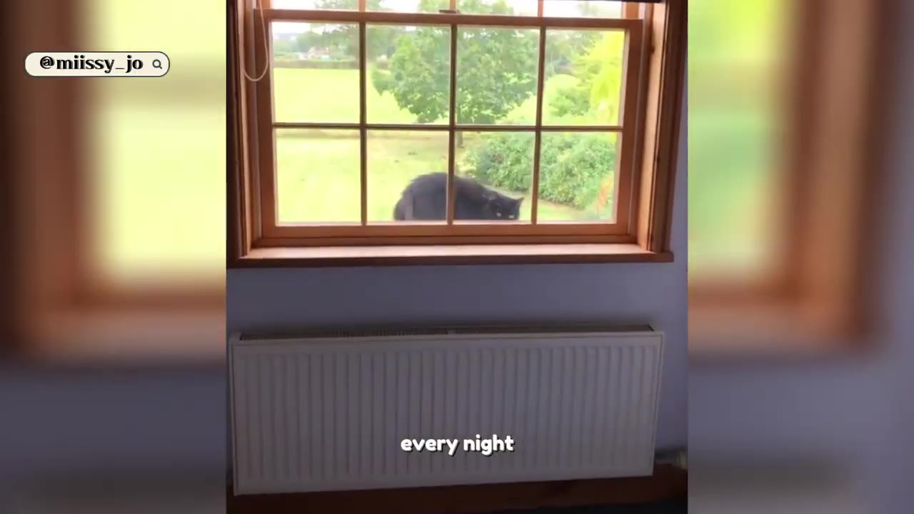 A black cat peers through a window pane from the outside into a room with a white radiator.