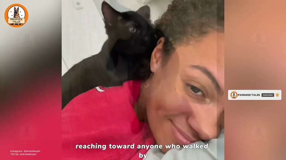 Video frame for The Loudest Voice In The Room