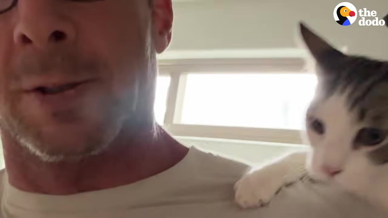 A close-up of a man with a white and tabby cat resting on his shoulder indoors.