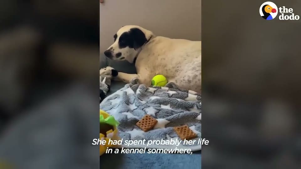Video frame for The Waiting Game