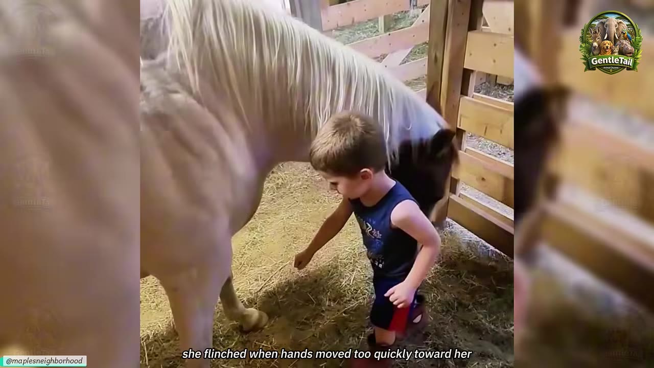 A young boy in a blue sleeveless shirt stands next to a light-colored horse in a stable, with his hand reaching out slightly as the horse stands beside him.