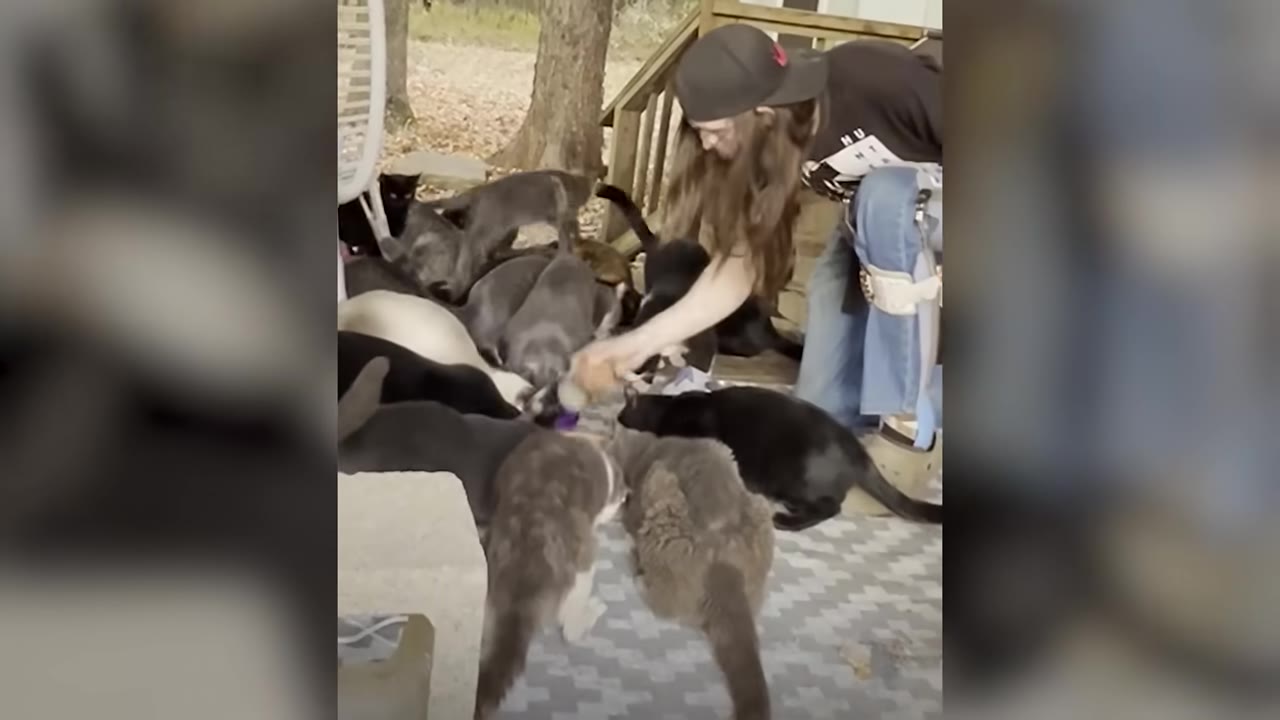 A person with long hair and a black cap kneels on a porch, surrounded by a large group of cats of various colors feeding together.