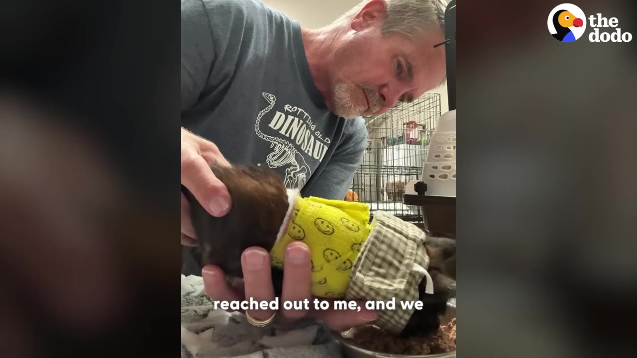 A man wearing a grey t-shirt looks down with concern as he gently cradles a small animal wrapped in a yellow smiley-face bandage.