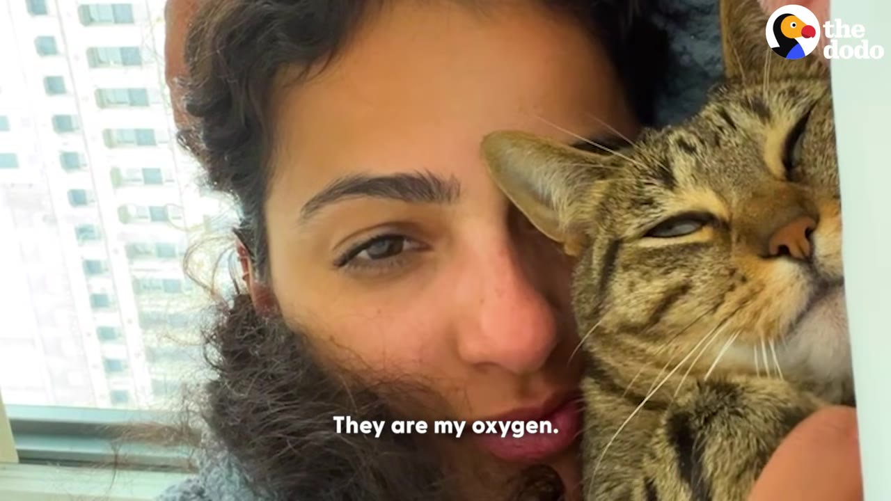 A close-up of a woman with curly hair smiling as she cuddles a tabby cat close to her face.