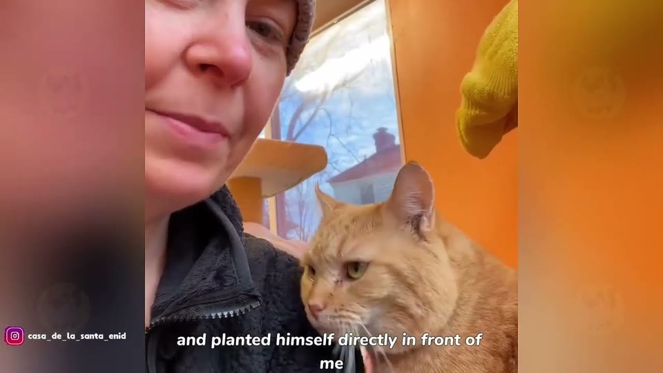 Video frame for A Frightened Arrival In Foster Care