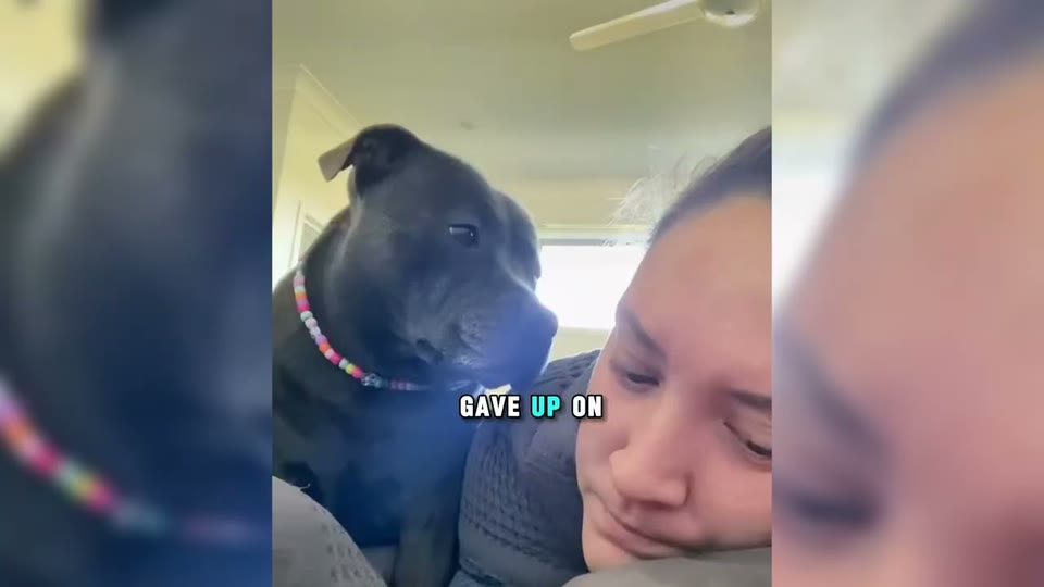 Video frame for A Gentle Surrender