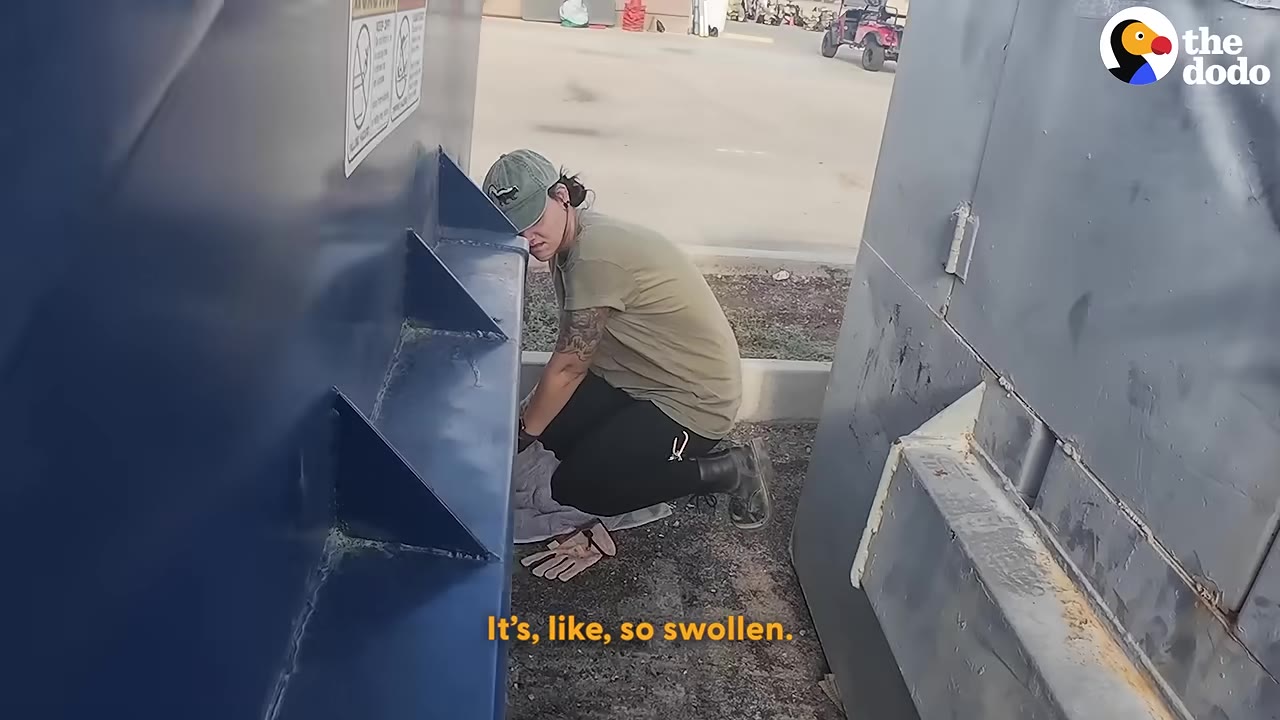 A rescuer in a green cap and t-shirt kneels on the ground between two large metal dumpsters, looking down with a concerned expression.
